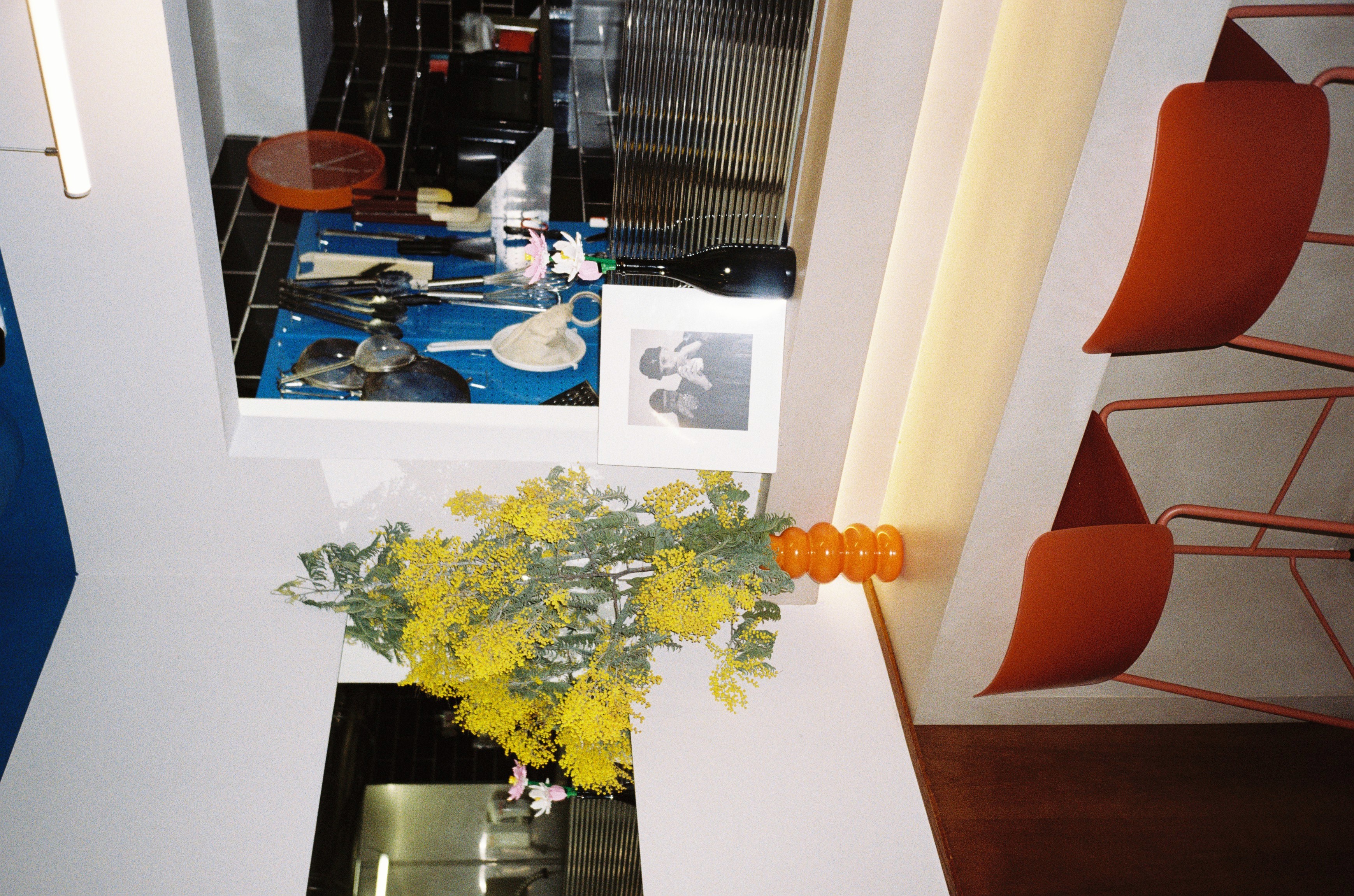 Interior de Mokadu — Licenciado Poza, 34